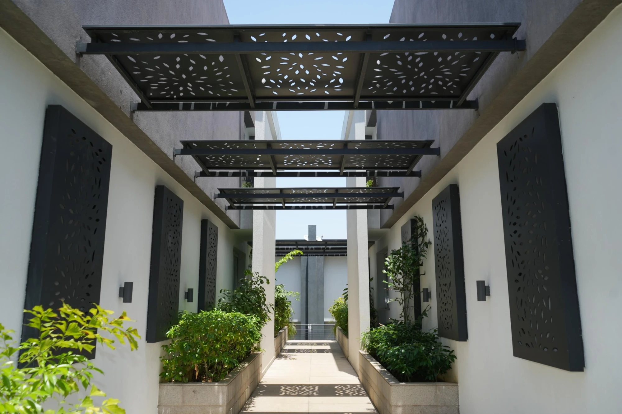 resized_DSC02565 (1)